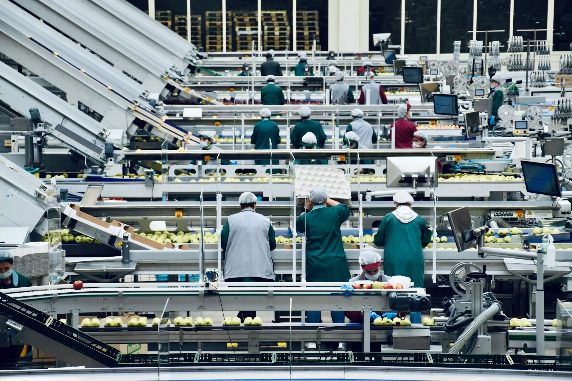 食品加工の工場内の様子