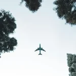 飛行機が森の上空を飛んでいる