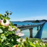 沖縄の景色